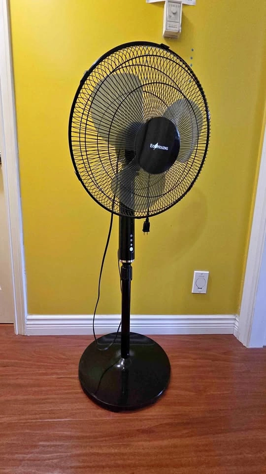 Electric Fan (With Remote)