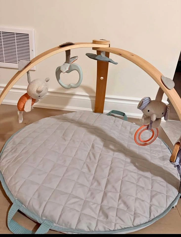 $35 Ingenuity Baby Play Mat Activity Gym