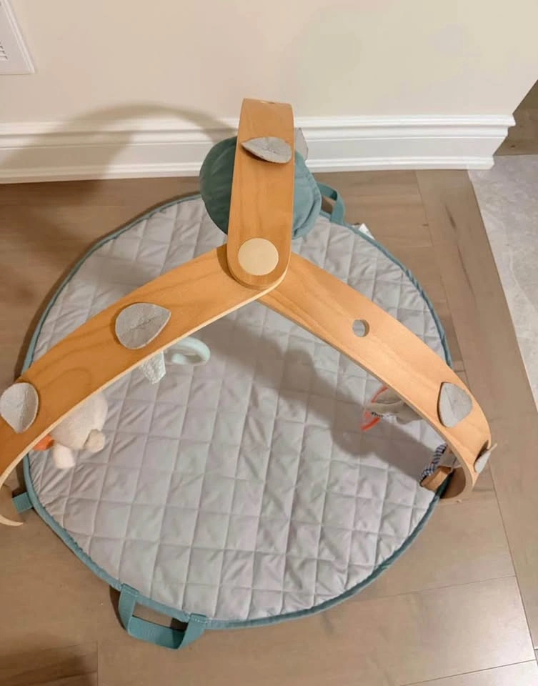 $35 Ingenuity Baby Play Mat Activity Gym - photo 2