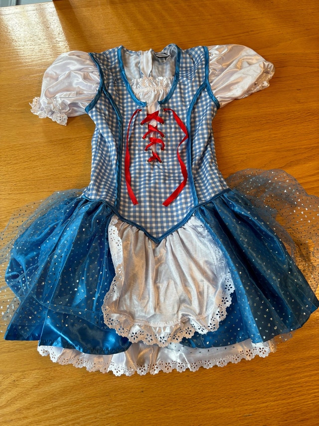 Wizard of Oz Dorothy Costume Girls Medium 8-10 Dress