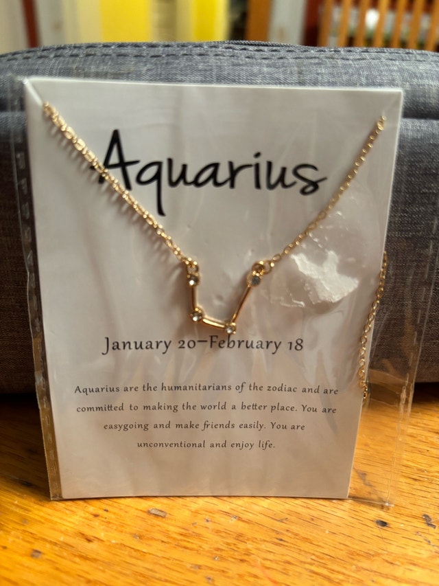 NEW Aquarius Zodiac Constellation Necklace