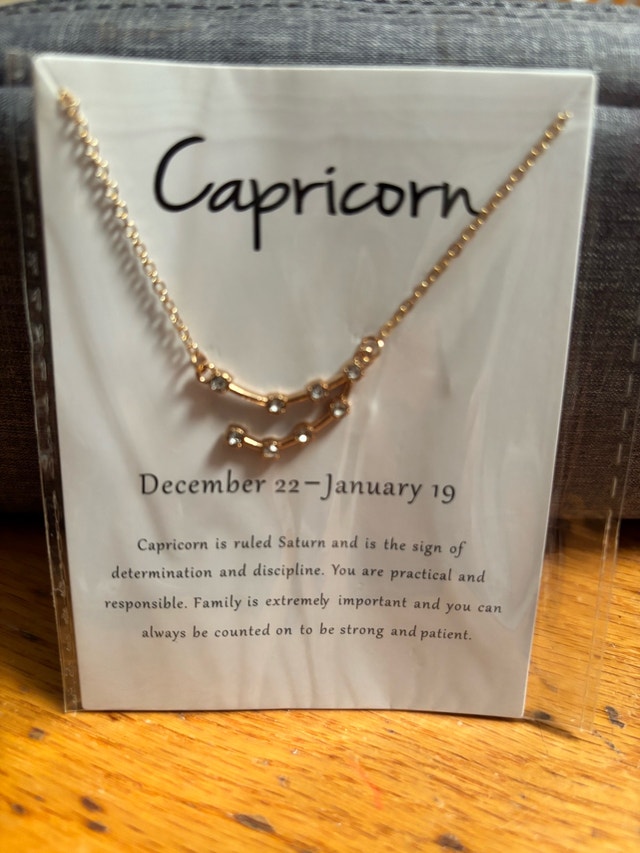 NEW Capricorn Zodiac Constellation Necklace