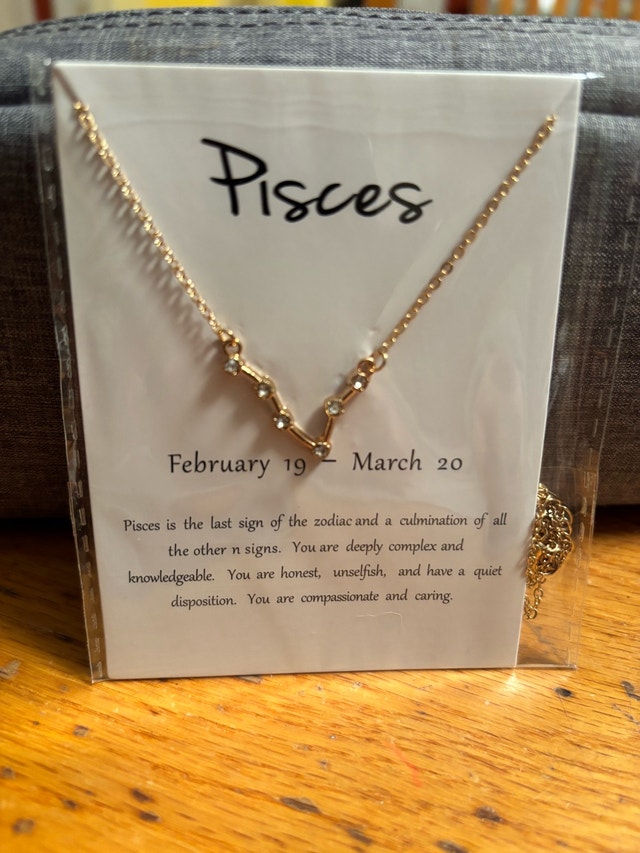NEW Pisces Zodiac Constellation Necklace Celestial Astrolog
