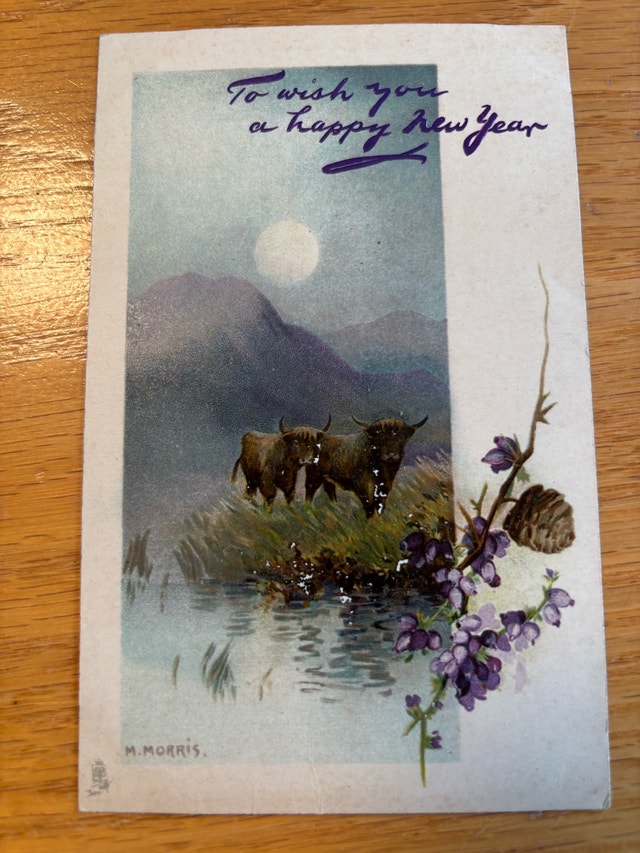 Raphael Tuck Postcard-Highland Cattle