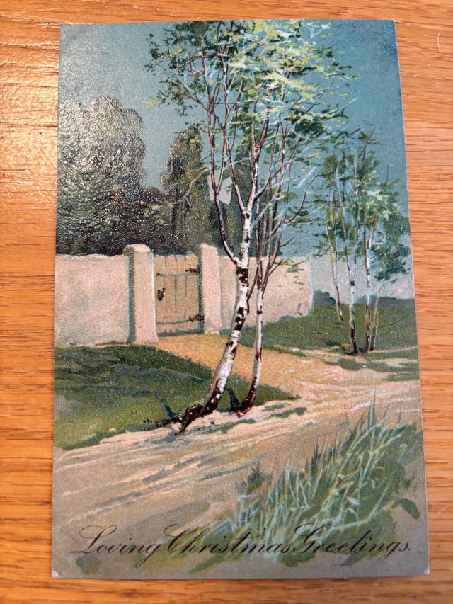 Vintage Christmas Birch Tree Postcard