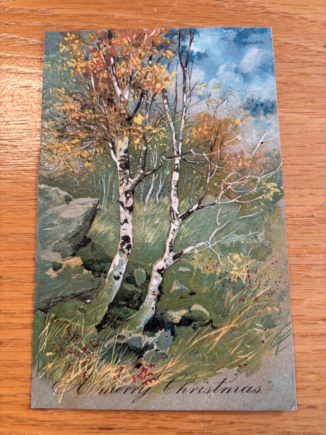 Vintage Christmas Postcard - Birch Trees