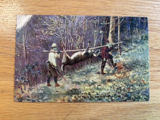 Vintage Postcard - Hunting, Deer