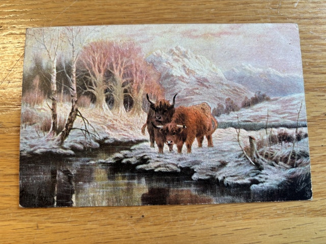 Tuck's Post Card “in the highlands”
