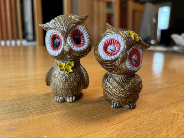 Anthropomorphic Owl Salt and Pepper Shakers Vintage Hong Kong