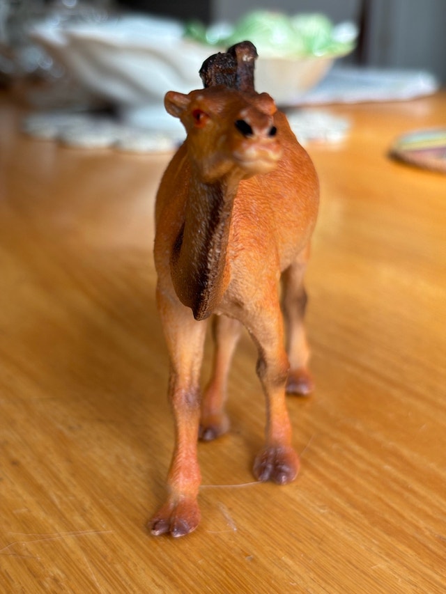 2 Humped Camel - photo 2