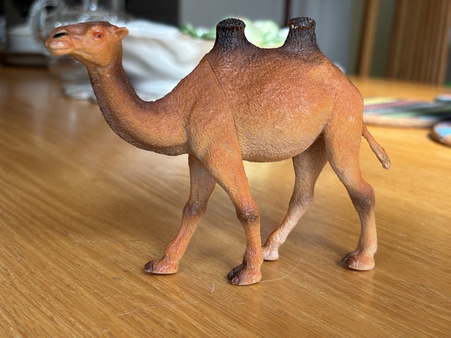 2 Humped Camel - photo 3