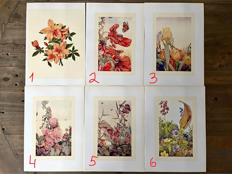 Vintage flower botanical prints