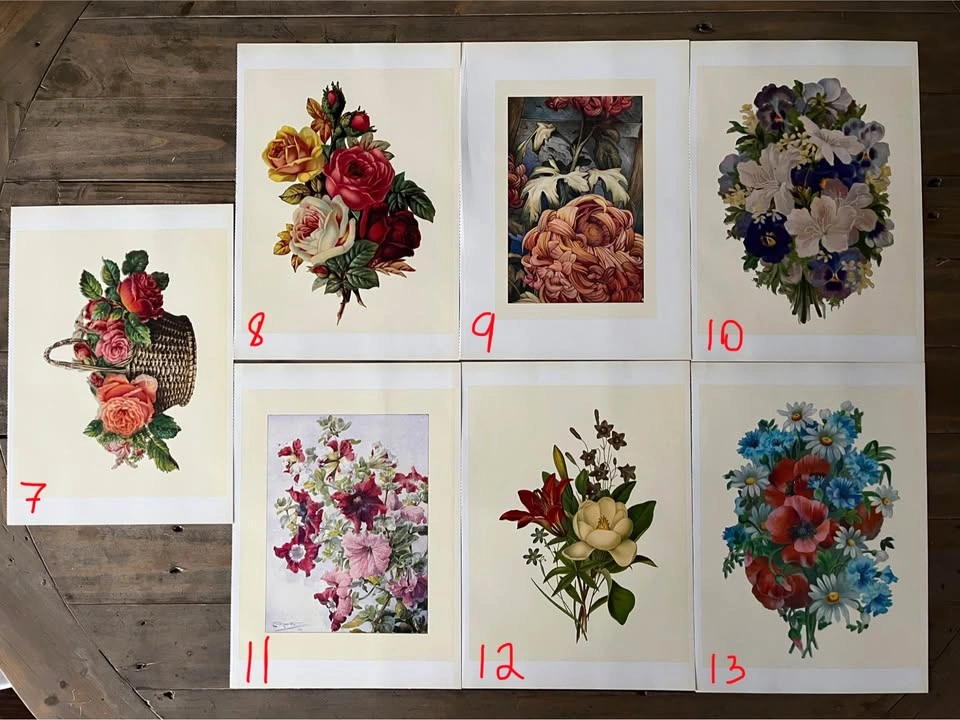 Vintage flower botanical prints - photo 2