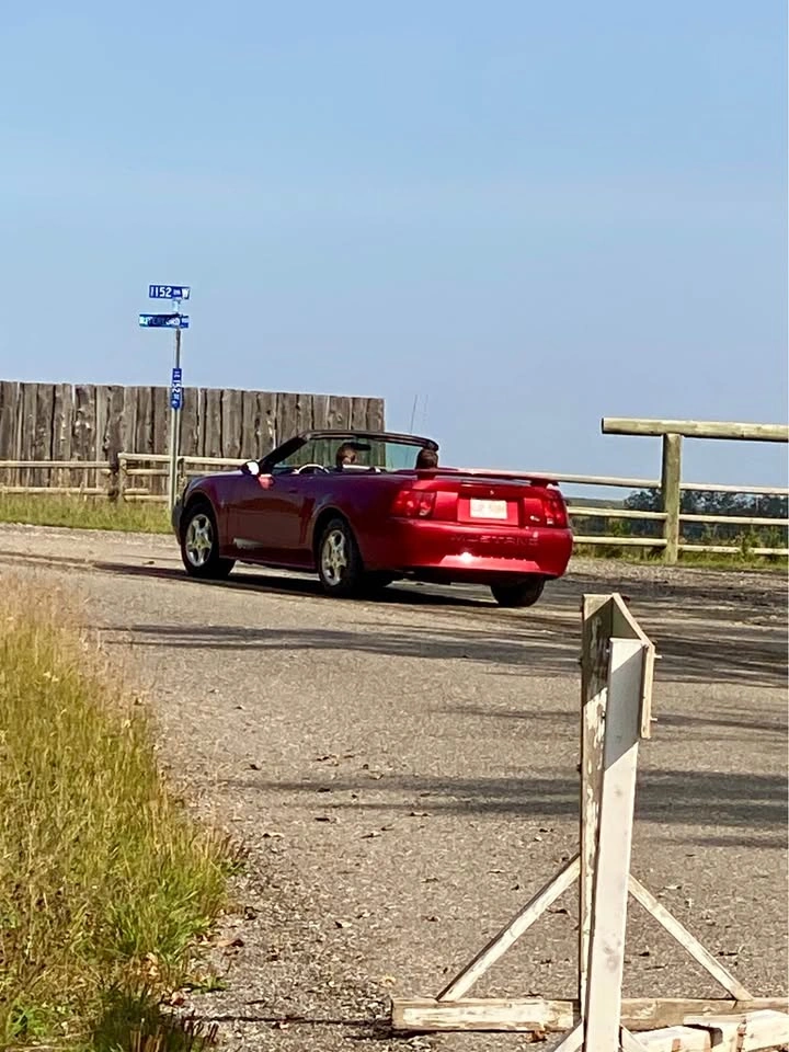 2003 Ford Mustang - photo 4