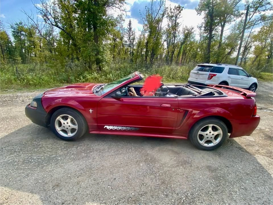 2003 Ford Mustang - photo 5