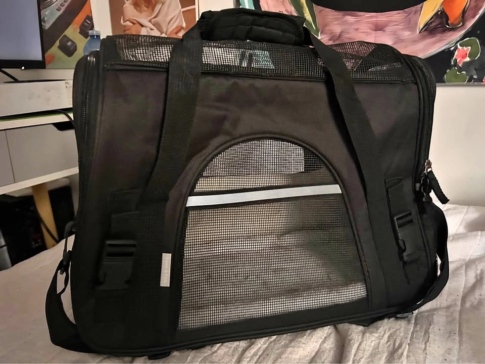 Cat Travel Carrier