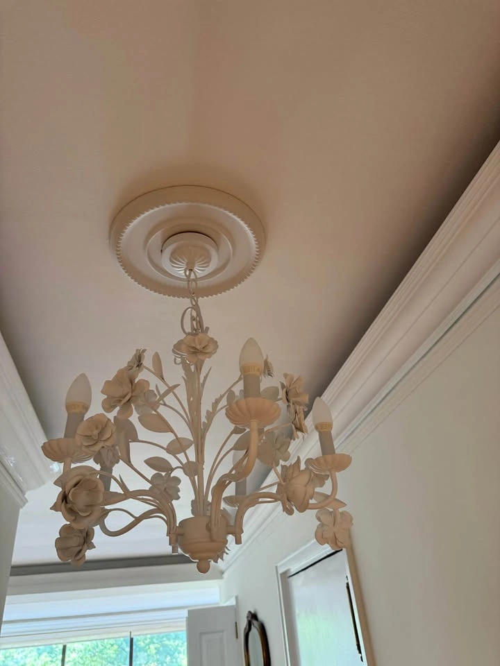 Anthropologie Floret Chandelier - photo 3