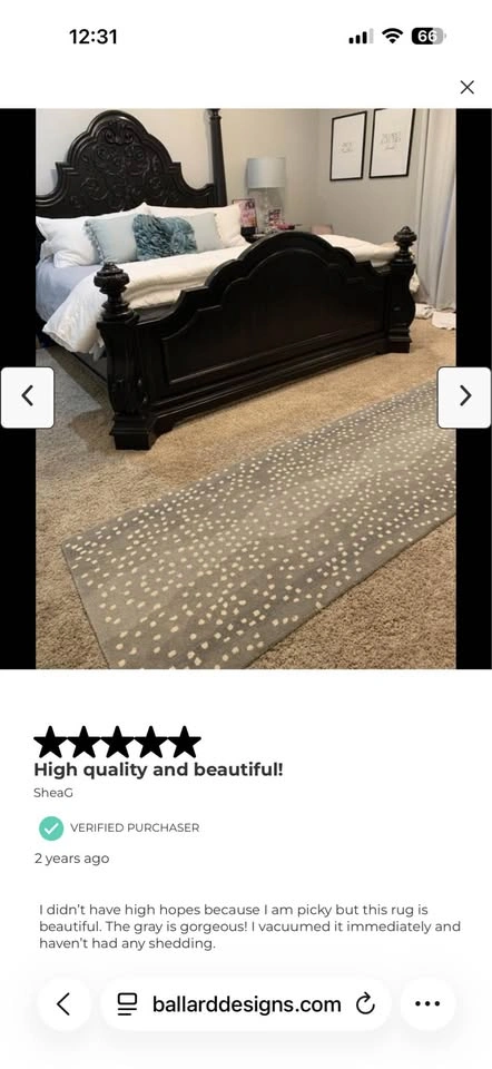 Ballard Designs Antelope Hand Tufted Rug - photo 3