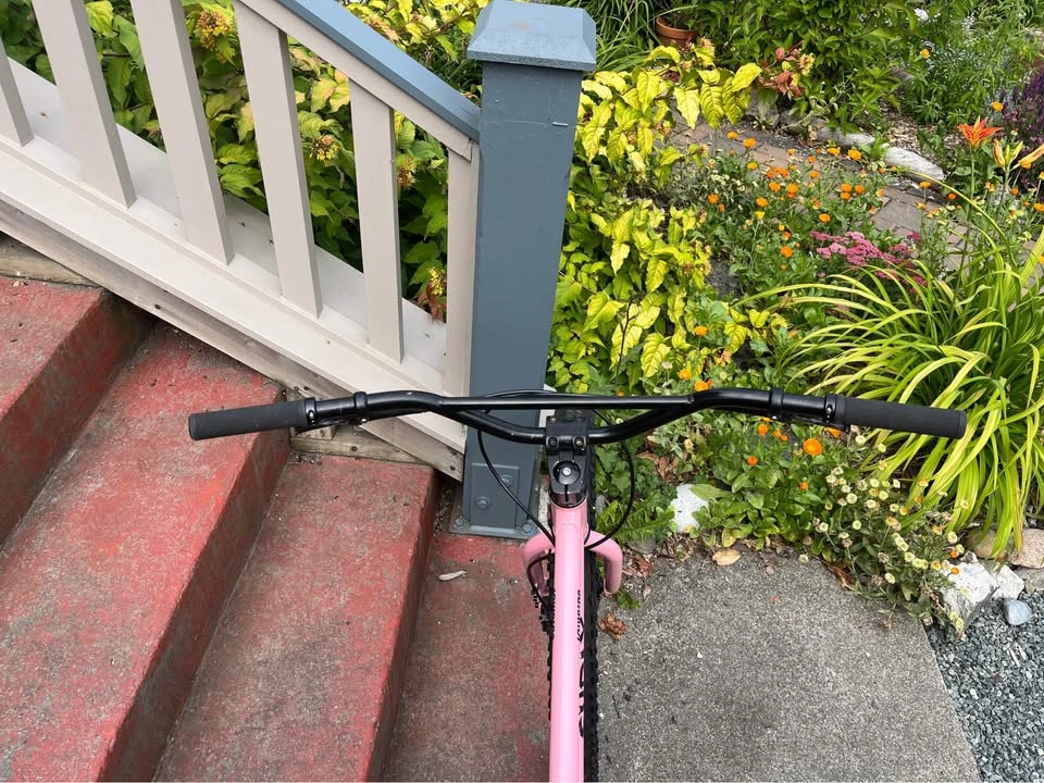 2025 Surly Lowside Medium - photo 4