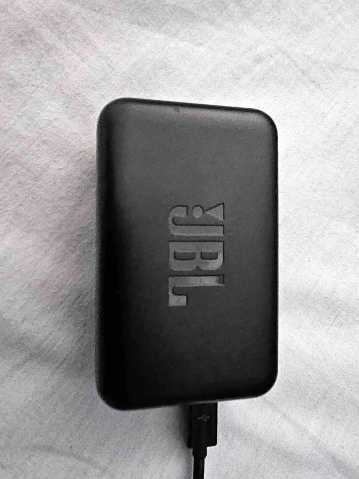 JBL Endurance Wireless Bluetooth Earbuds with Charging Case