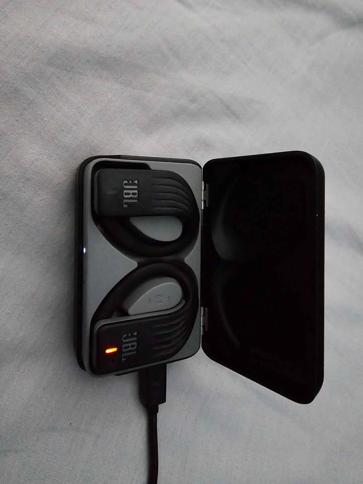 JBL Endurance Wireless Bluetooth Earbuds with Charging Case - photo 2