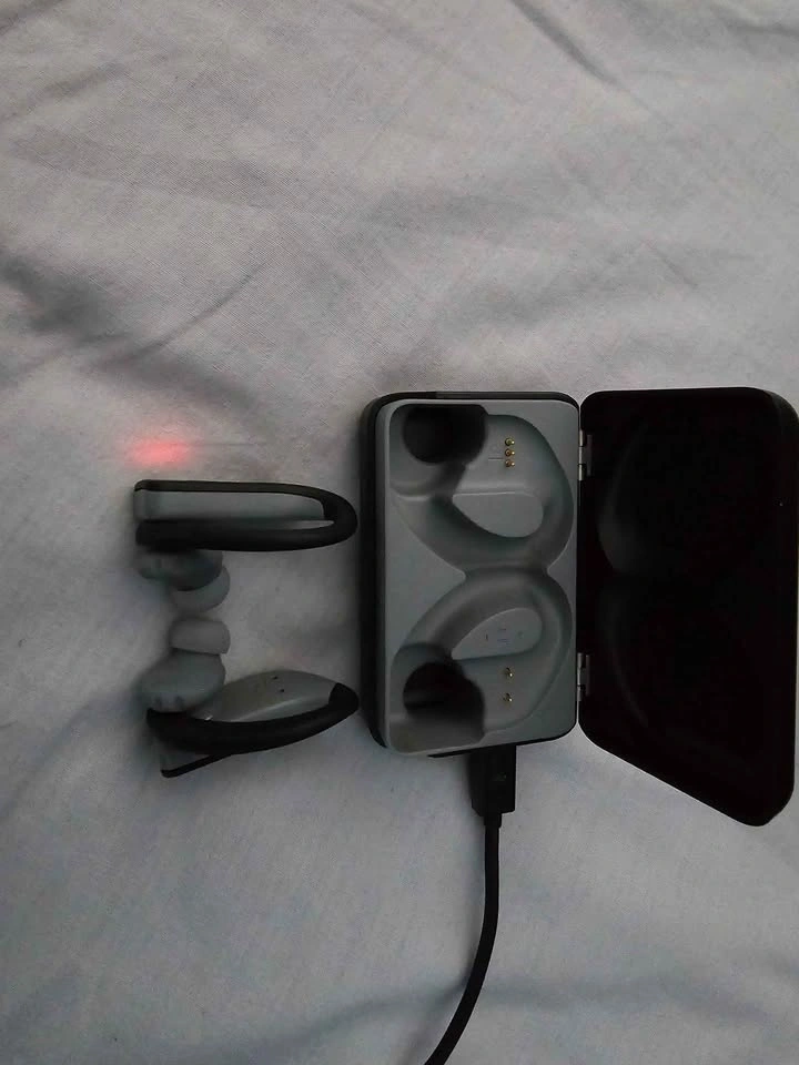 JBL Endurance Wireless Bluetooth Earbuds with Charging Case - photo 3