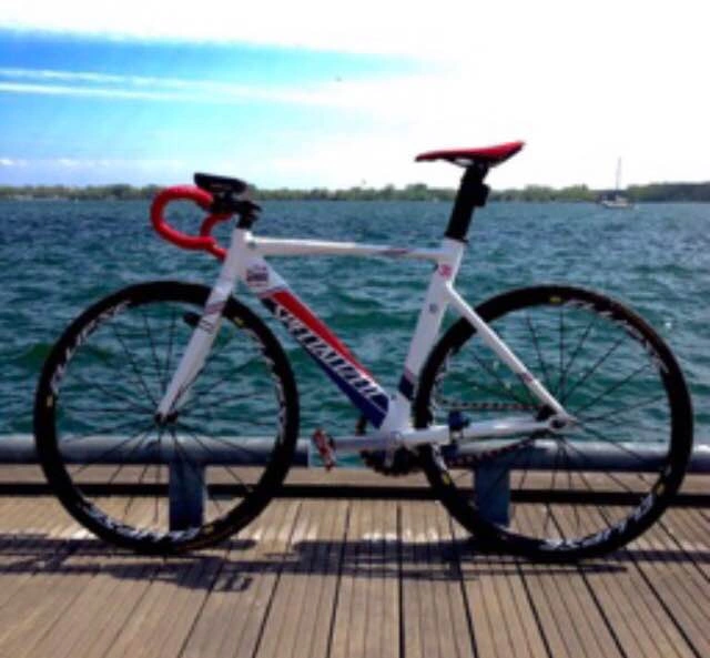 SPECIALIZED LANGSTER PRO - 10 YEAR ANNIVERSARY - photo 2