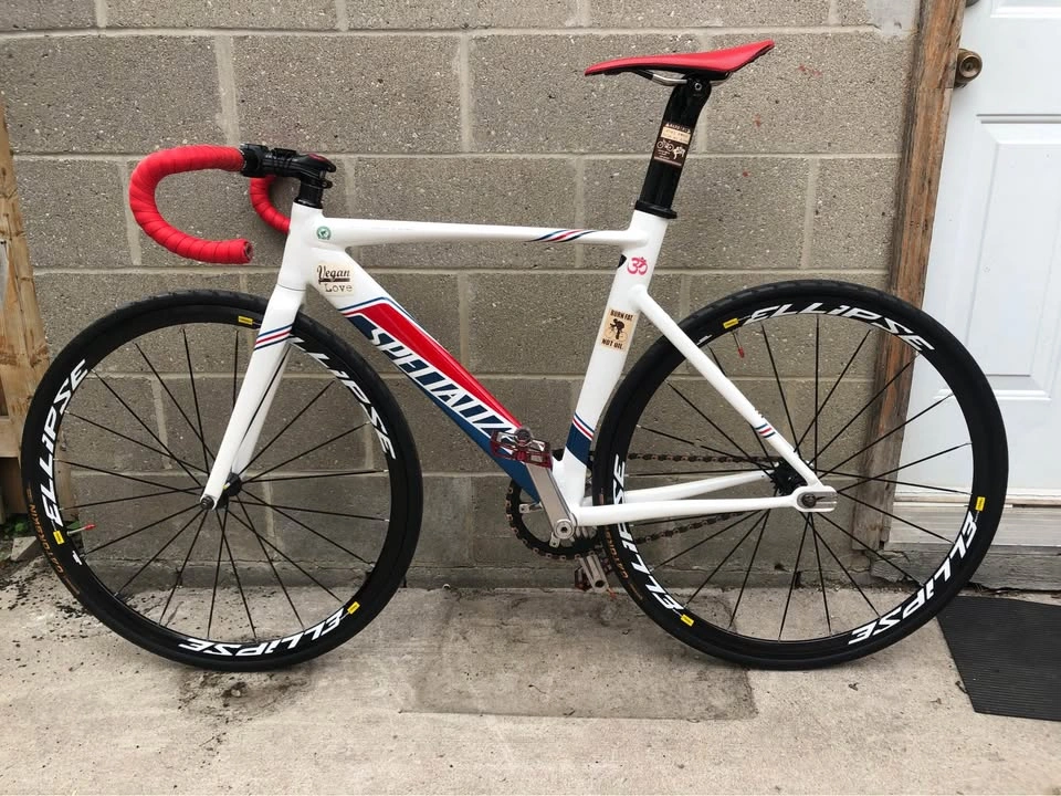 SPECIALIZED LANGSTER PRO - 10 YEAR ANNIVERSARY - photo 3