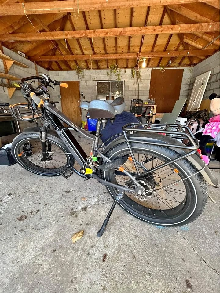 RadRover 6 Plus Electric Fat Tire eBike