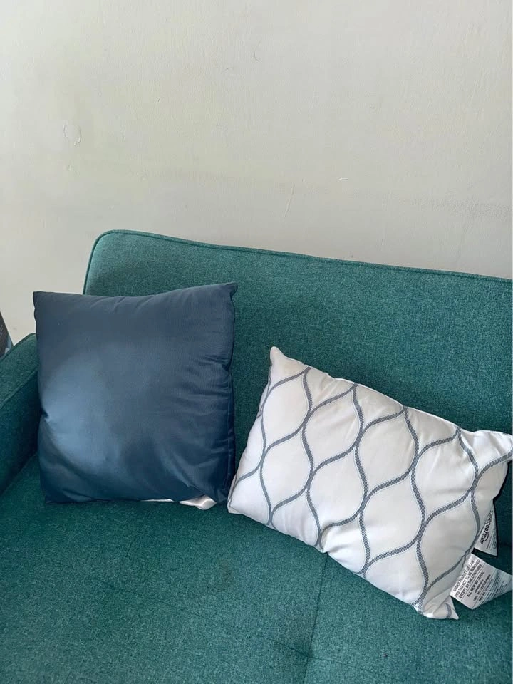 Amazon Basics Throw Pillows
