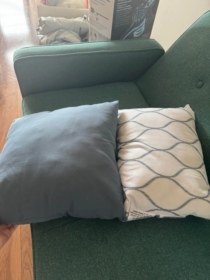 Amazon Basics Throw Pillows - photo 3