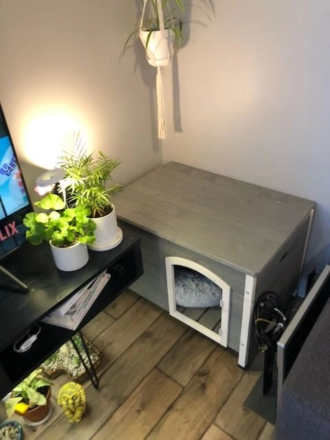 Indoor Wood Dog House - Small to Medium Dogs - photo 3
