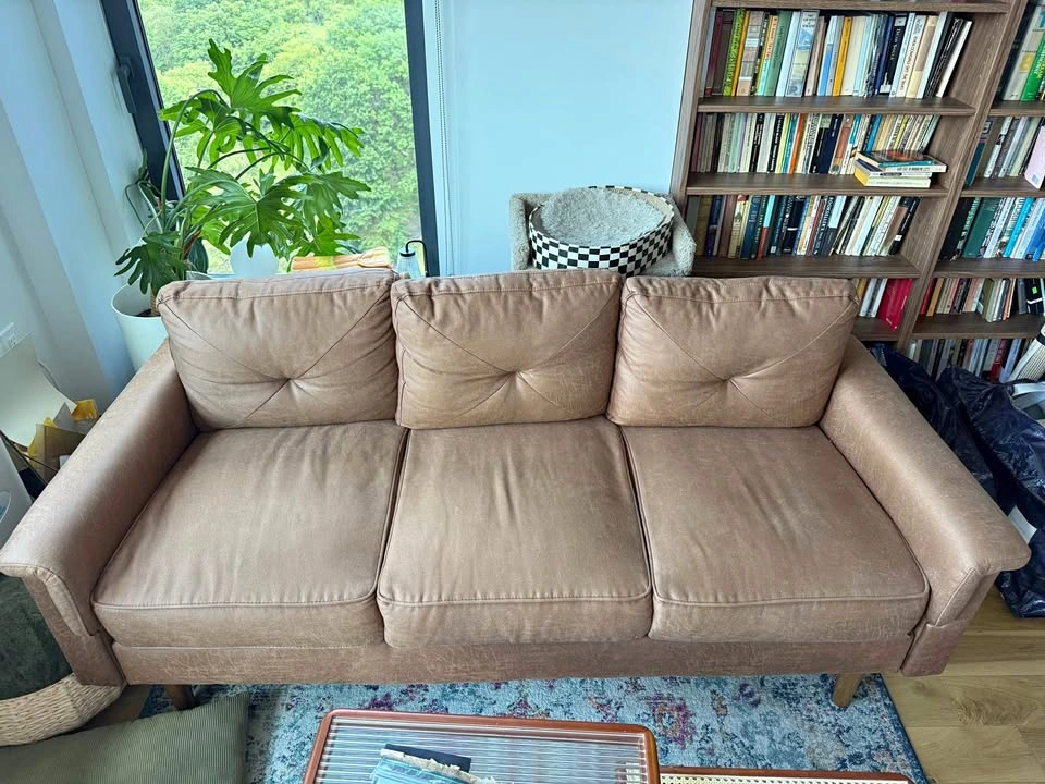 Cozy Brown Couch