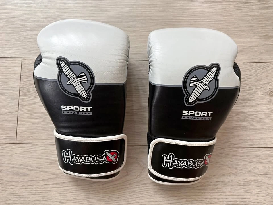 Hayabusa 16 oz Boxing Gloves