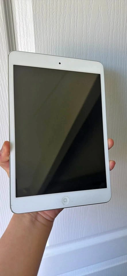 iPad Mini- 1st Gen