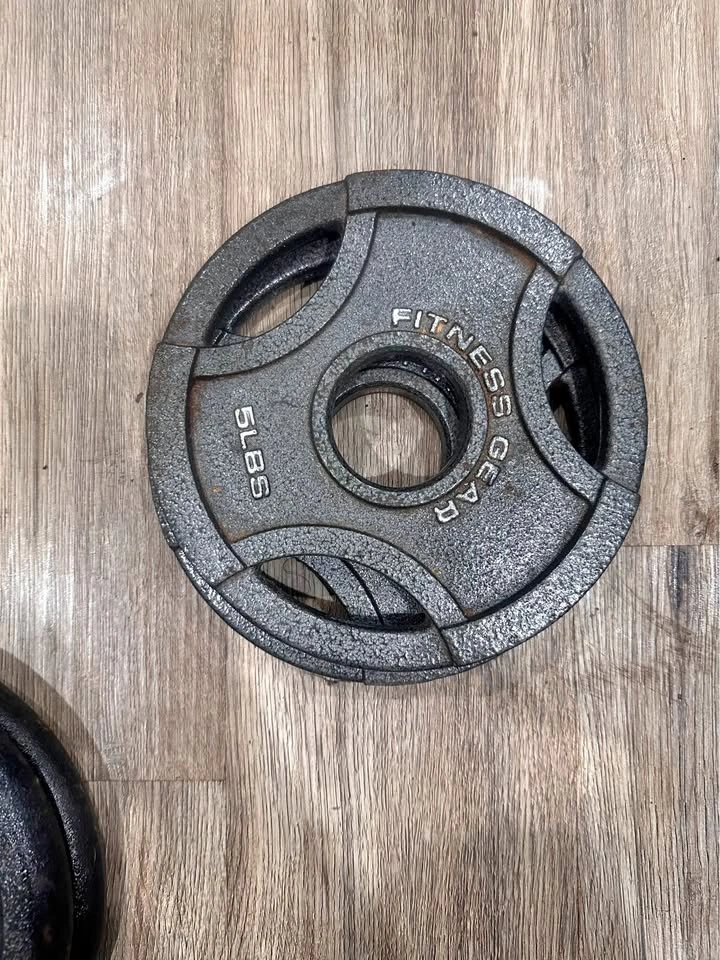 2x 10 lb Cast Iron Olympic Weight Plates