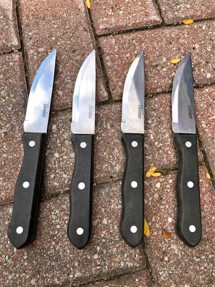 Set of 4 Steak knives