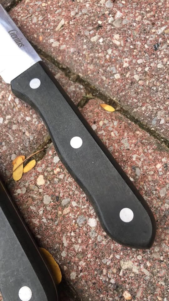 Set of 4 Steak knives - photo 3