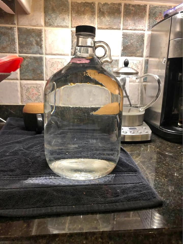 1 Gallon glass jugs with lids from $20