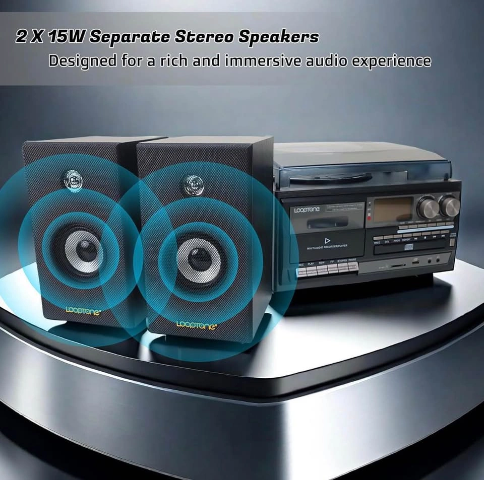Vinyl record player - photo 2