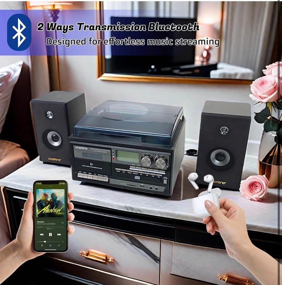 Vinyl record player - photo 3