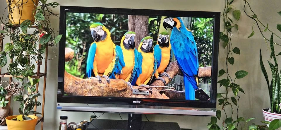 Sony TV and black glass stand and Sony speaker