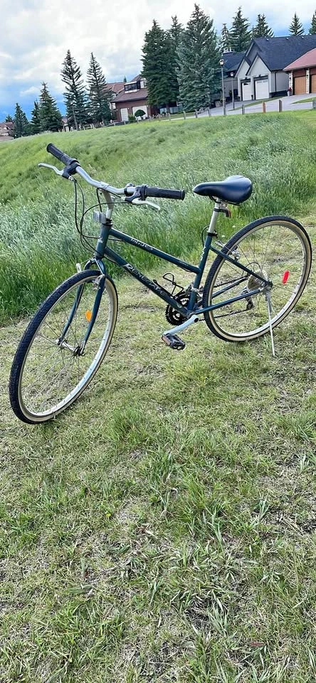 Vintage Hybrid Lite 720 Renegade chromoly 16” bicycle