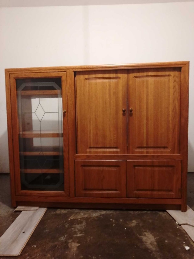 Oak Media Entertainment Unit
