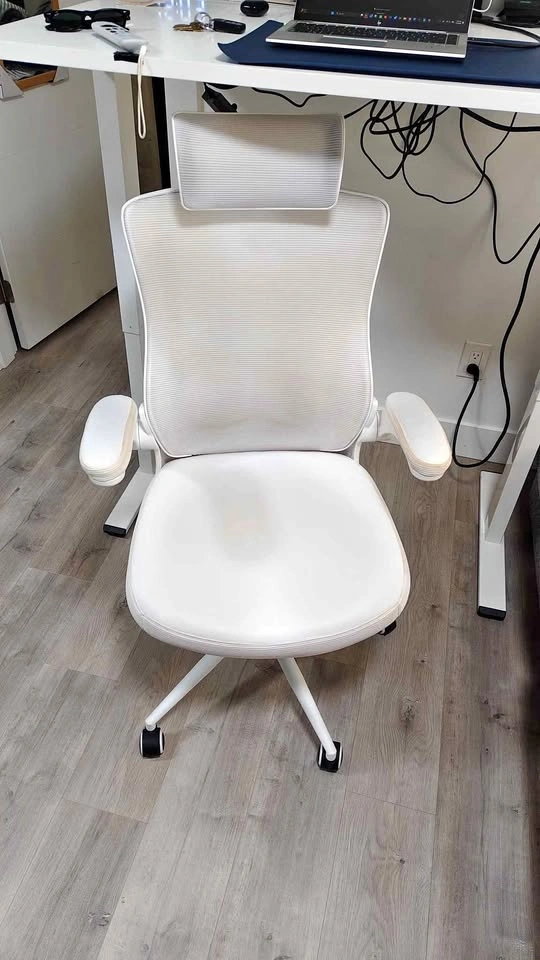 White Mesh Ergonomic Office Chair with Headrest