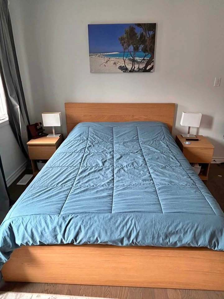 IKEA MALM Queen Bed Frame and 2 Nightstands