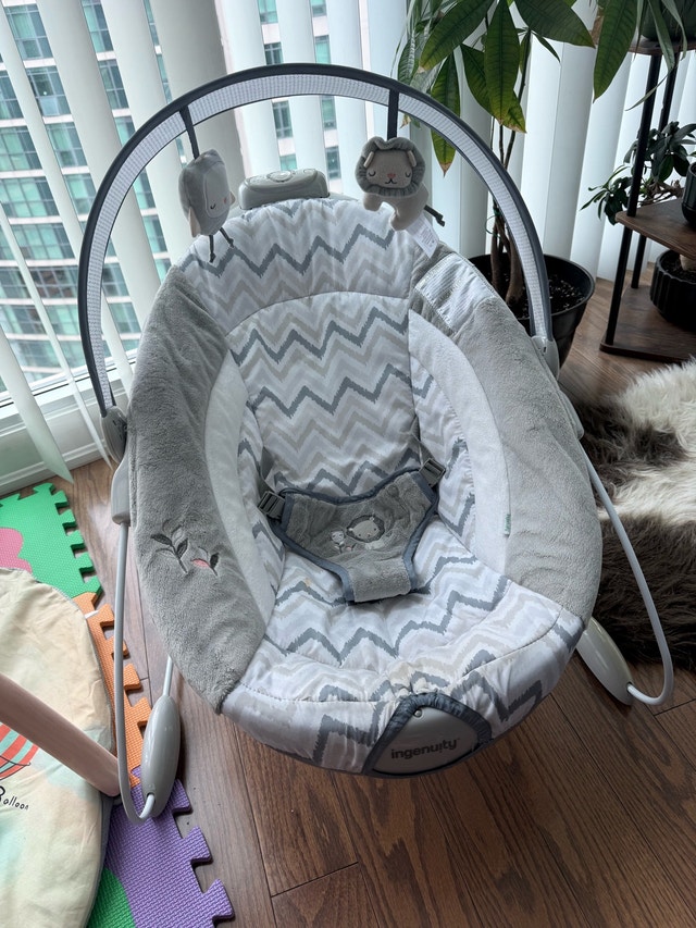 Ingenuity Baby Bouncer