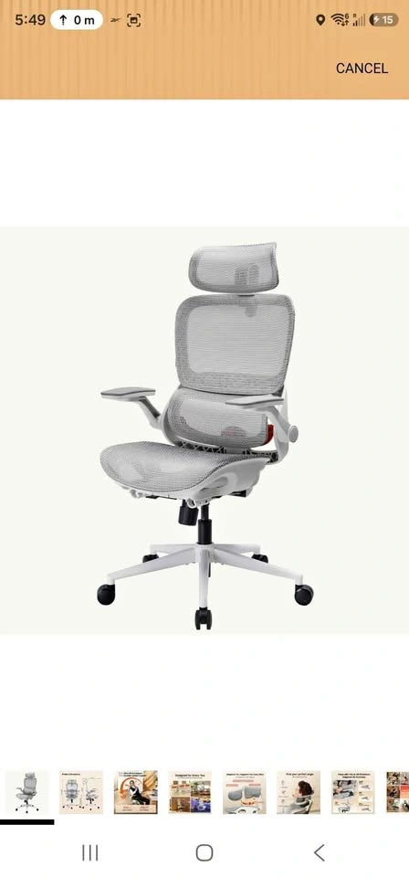 Ergonomic Office Chair with Lumbar Support and 4D Armrests