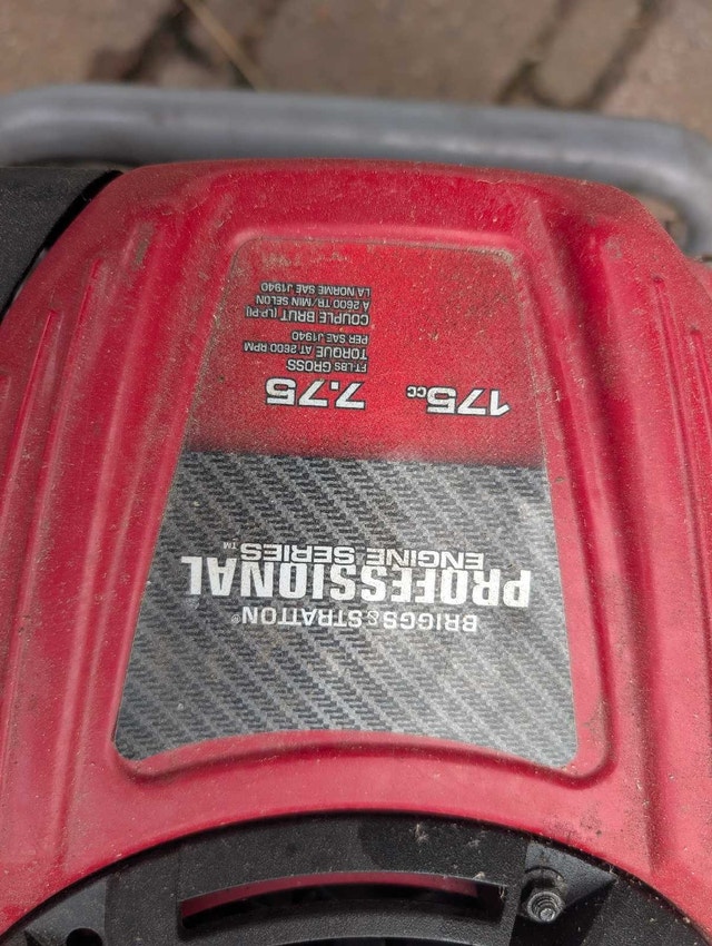 Briggs & Stratton Professional Series Engine - photo 3
