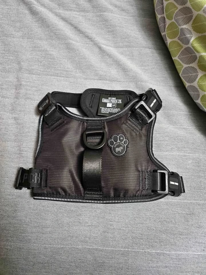 Dog harness